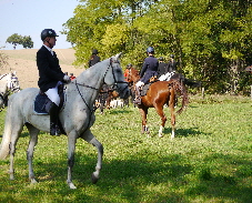 NetObjects Fusion 2015 NetObjects Fusion 2015