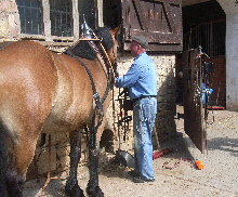 NetObjects Fusion 2015 NetObjects Fusion 2015